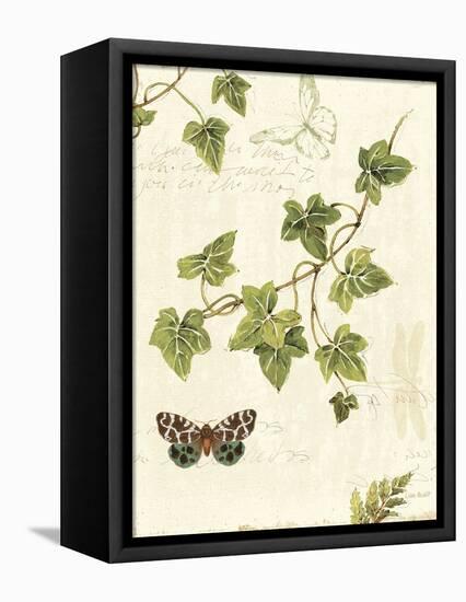 Ivies and Ferns II-Lisa Audit-Framed Stretched Canvas