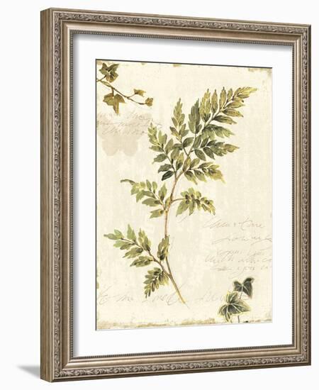 Ivies and Ferns III no Dragonfly-Lisa Audit-Framed Art Print