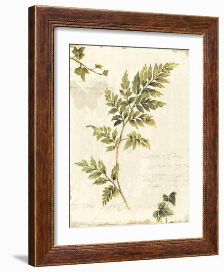 Ivies and Ferns III no Dragonfly-Lisa Audit-Framed Art Print