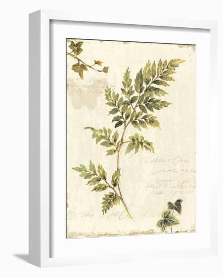 Ivies and Ferns III no Dragonfly-Lisa Audit-Framed Art Print