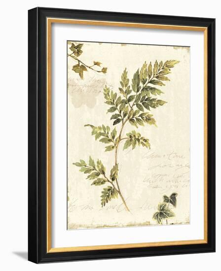 Ivies and Ferns III no Dragonfly-Lisa Audit-Framed Art Print