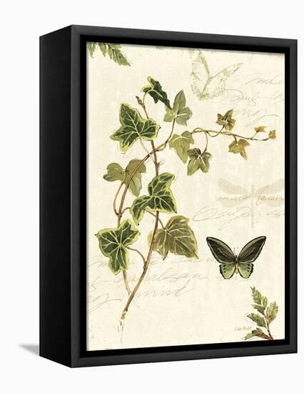 Ivies and Ferns IV-Lisa Audit-Framed Stretched Canvas