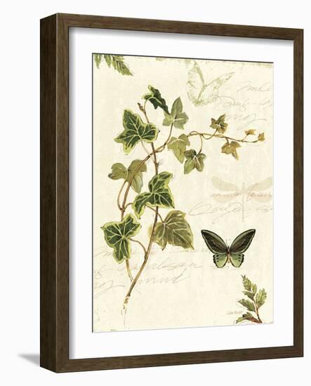 Ivies and Ferns IV-Lisa Audit-Framed Art Print