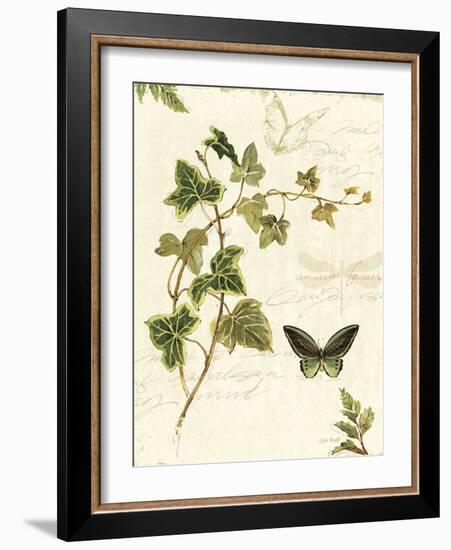 Ivies and Ferns IV-Lisa Audit-Framed Art Print