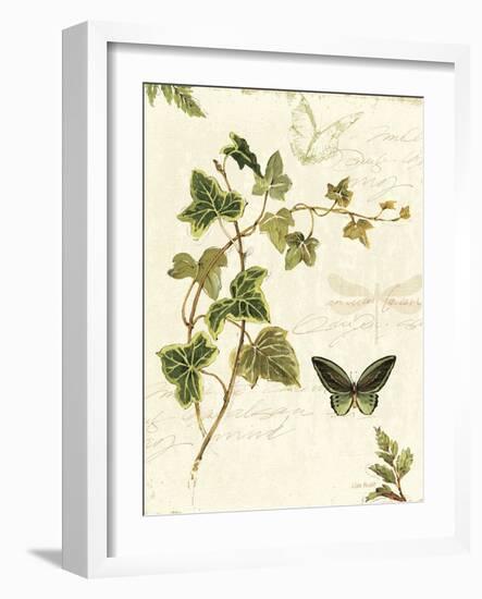 Ivies and Ferns IV-Lisa Audit-Framed Art Print