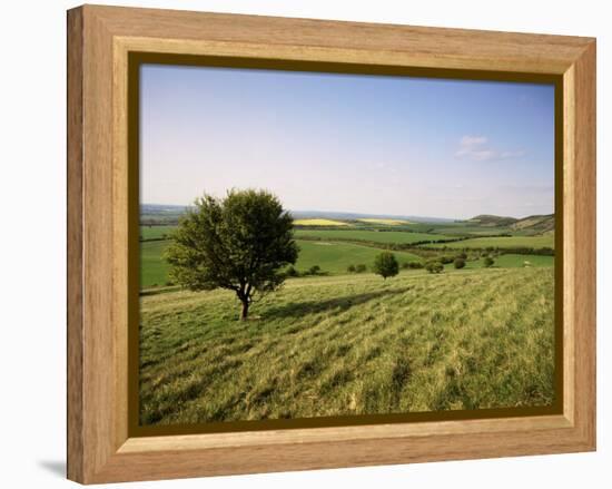 Ivinghoe Beacon from the Ridgeway Path, Chiltern Hills, Buckinghamshire, England-David Hughes-Framed Premier Image Canvas