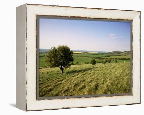 Ivinghoe Beacon from the Ridgeway Path, Chiltern Hills, Buckinghamshire, England-David Hughes-Framed Premier Image Canvas