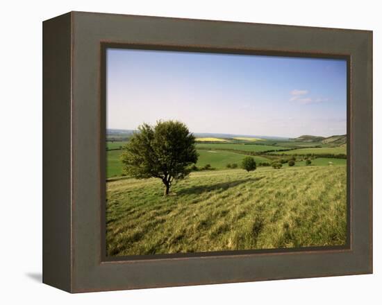 Ivinghoe Beacon from the Ridgeway Path, Chiltern Hills, Buckinghamshire, England-David Hughes-Framed Premier Image Canvas