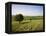 Ivinghoe Beacon from the Ridgeway Path, Chiltern Hills, Buckinghamshire, England-David Hughes-Framed Premier Image Canvas