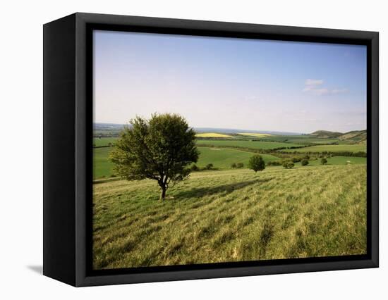 Ivinghoe Beacon from the Ridgeway Path, Chiltern Hills, Buckinghamshire, England-David Hughes-Framed Premier Image Canvas