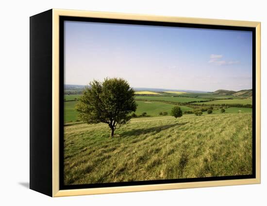 Ivinghoe Beacon from the Ridgeway Path, Chiltern Hills, Buckinghamshire, England-David Hughes-Framed Premier Image Canvas