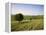 Ivinghoe Beacon from the Ridgeway Path, Chiltern Hills, Buckinghamshire, England-David Hughes-Framed Premier Image Canvas