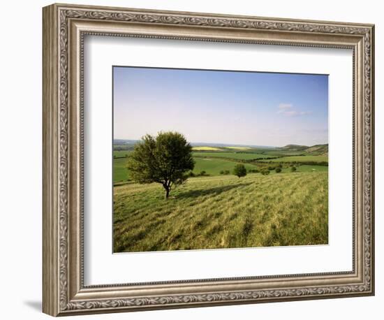 Ivinghoe Beacon from the Ridgeway Path, Chiltern Hills, Buckinghamshire, England-David Hughes-Framed Photographic Print