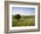 Ivinghoe Beacon from the Ridgeway Path, Chiltern Hills, Buckinghamshire, England-David Hughes-Framed Photographic Print
