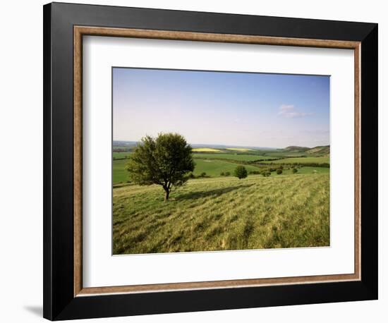 Ivinghoe Beacon from the Ridgeway Path, Chiltern Hills, Buckinghamshire, England-David Hughes-Framed Photographic Print