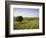 Ivinghoe Beacon from the Ridgeway Path, Chiltern Hills, Buckinghamshire, England-David Hughes-Framed Photographic Print