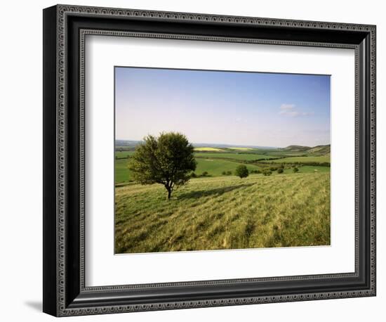 Ivinghoe Beacon from the Ridgeway Path, Chiltern Hills, Buckinghamshire, England-David Hughes-Framed Photographic Print