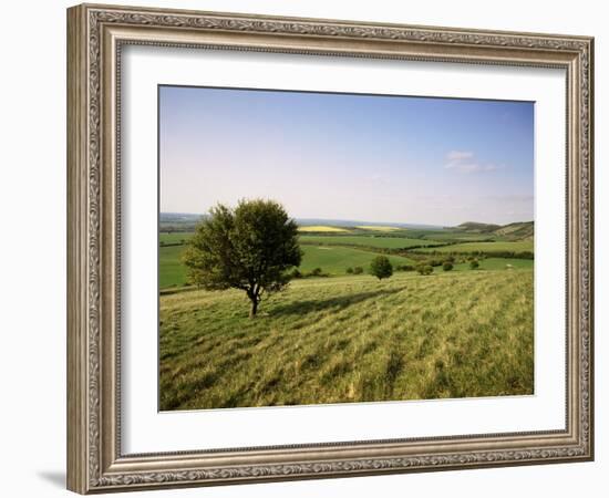 Ivinghoe Beacon from the Ridgeway Path, Chiltern Hills, Buckinghamshire, England-David Hughes-Framed Photographic Print