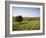 Ivinghoe Beacon from the Ridgeway Path, Chiltern Hills, Buckinghamshire, England-David Hughes-Framed Photographic Print