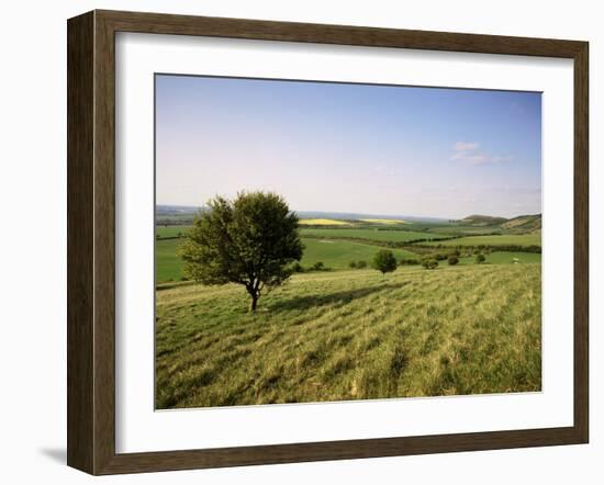 Ivinghoe Beacon from the Ridgeway Path, Chiltern Hills, Buckinghamshire, England-David Hughes-Framed Photographic Print