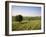 Ivinghoe Beacon from the Ridgeway Path, Chiltern Hills, Buckinghamshire, England-David Hughes-Framed Photographic Print