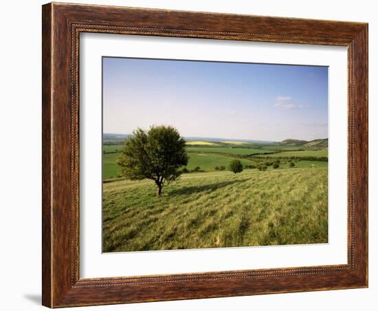 Ivinghoe Beacon from the Ridgeway Path, Chiltern Hills, Buckinghamshire, England-David Hughes-Framed Photographic Print