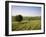 Ivinghoe Beacon from the Ridgeway Path, Chiltern Hills, Buckinghamshire, England-David Hughes-Framed Photographic Print