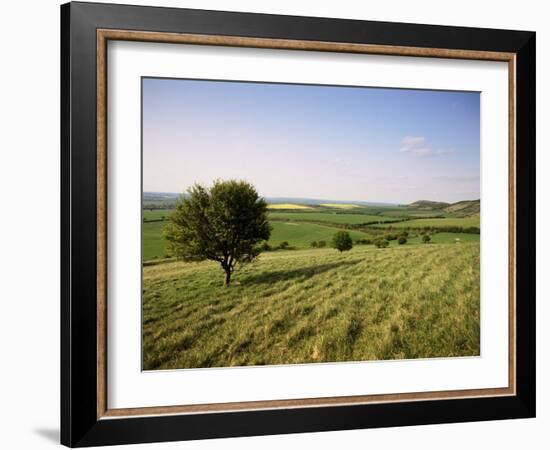 Ivinghoe Beacon from the Ridgeway Path, Chiltern Hills, Buckinghamshire, England-David Hughes-Framed Photographic Print