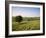 Ivinghoe Beacon from the Ridgeway Path, Chiltern Hills, Buckinghamshire, England-David Hughes-Framed Photographic Print