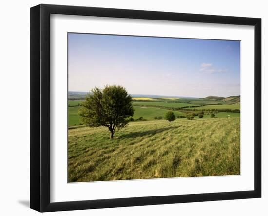 Ivinghoe Beacon from the Ridgeway Path, Chiltern Hills, Buckinghamshire, England-David Hughes-Framed Photographic Print