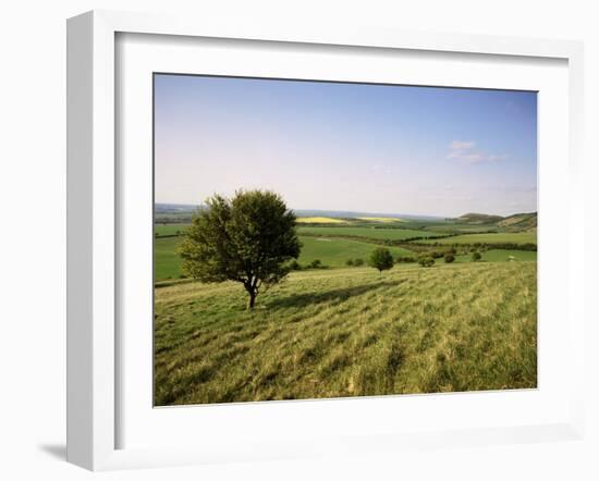 Ivinghoe Beacon from the Ridgeway Path, Chiltern Hills, Buckinghamshire, England-David Hughes-Framed Photographic Print