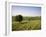 Ivinghoe Beacon from the Ridgeway Path, Chiltern Hills, Buckinghamshire, England-David Hughes-Framed Photographic Print