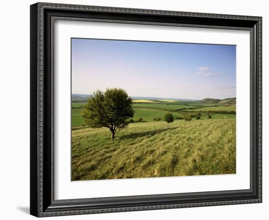 Ivinghoe Beacon from the Ridgeway Path, Chiltern Hills, Buckinghamshire, England-David Hughes-Framed Photographic Print