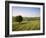 Ivinghoe Beacon from the Ridgeway Path, Chiltern Hills, Buckinghamshire, England-David Hughes-Framed Photographic Print