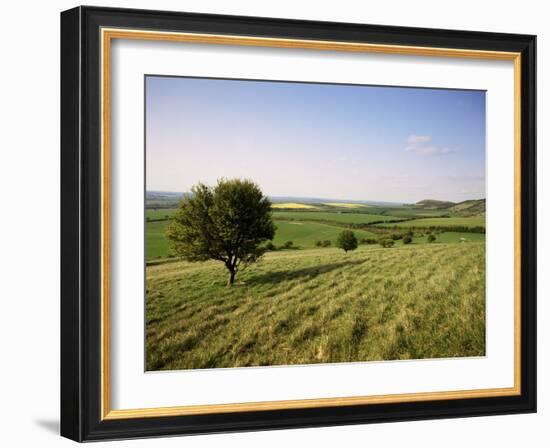 Ivinghoe Beacon from the Ridgeway Path, Chiltern Hills, Buckinghamshire, England-David Hughes-Framed Photographic Print