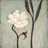 Ivory Blossom-Ivo-Art Print
