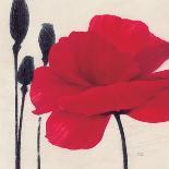 Rouge Floral 1-Ivo-Art Print