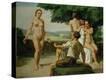 Stretched Canvas Print