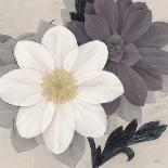 Blossom and Succulent White-Ivo Stoyanov-Art Print
