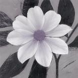 Blossom and Succulent White-Ivo Stoyanov-Art Print