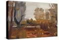 Stretched Canvas Print