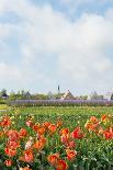 Small Village Den Hoorn with White Church at Dutch Wadden Island Texel-Ivonnewierink-Photographic Print