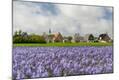 Premium Photographic Print
