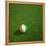 Ivorian Soccerball Lying on Grass-zentilia-Framed Stretched Canvas