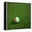 Ivorian Soccerball Lying on Grass-zentilia-Framed Stretched Canvas