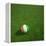 Ivorian Soccerball Lying on Grass-zentilia-Framed Stretched Canvas