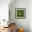 Ivorian Soccerball Lying on Grass-zentilia-Framed Art Print displayed on a wall