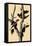 Ivory-Billed Woodpecker-John James Audubon-Framed Premier Image Canvas