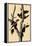 Ivory-Billed Woodpecker-John James Audubon-Framed Premier Image Canvas