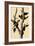 Ivory-Billed Woodpecker-John James Audubon-Framed Giclee Print